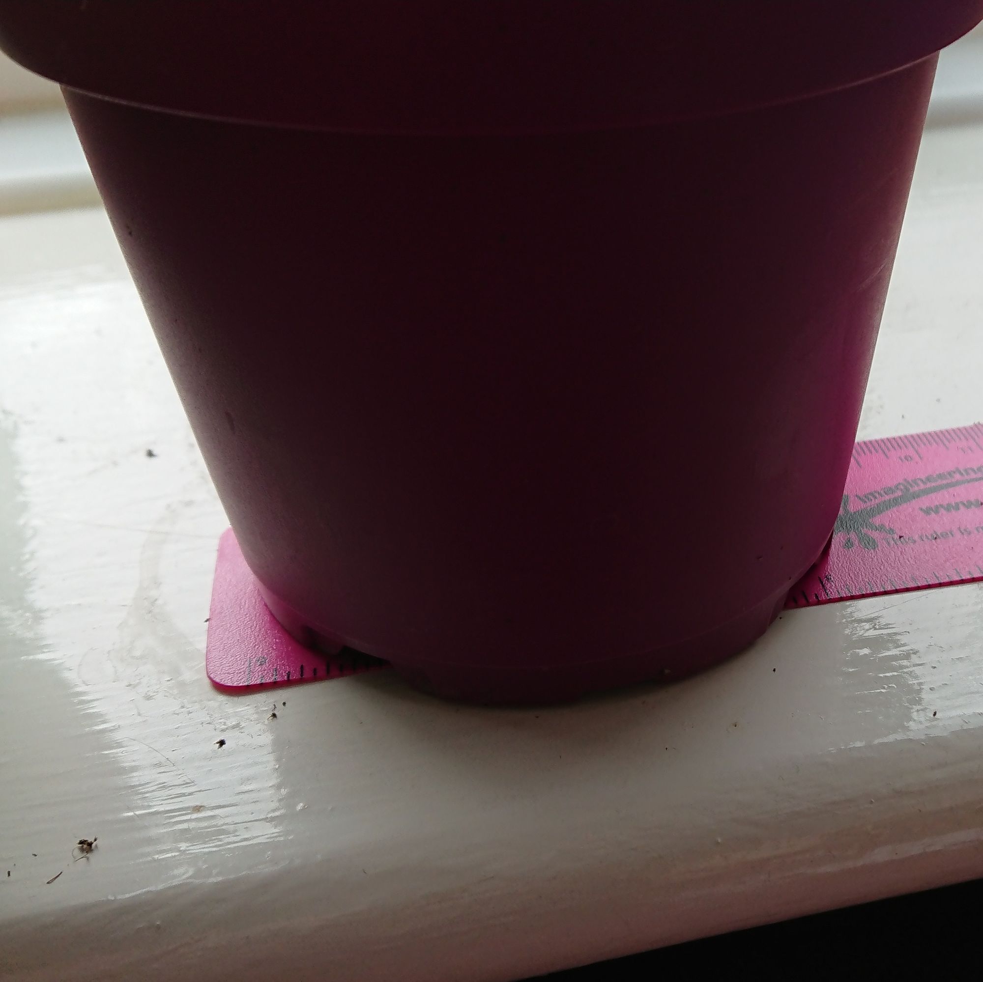Window sill plant drip saucer